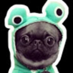 Meet your Posher, Jj